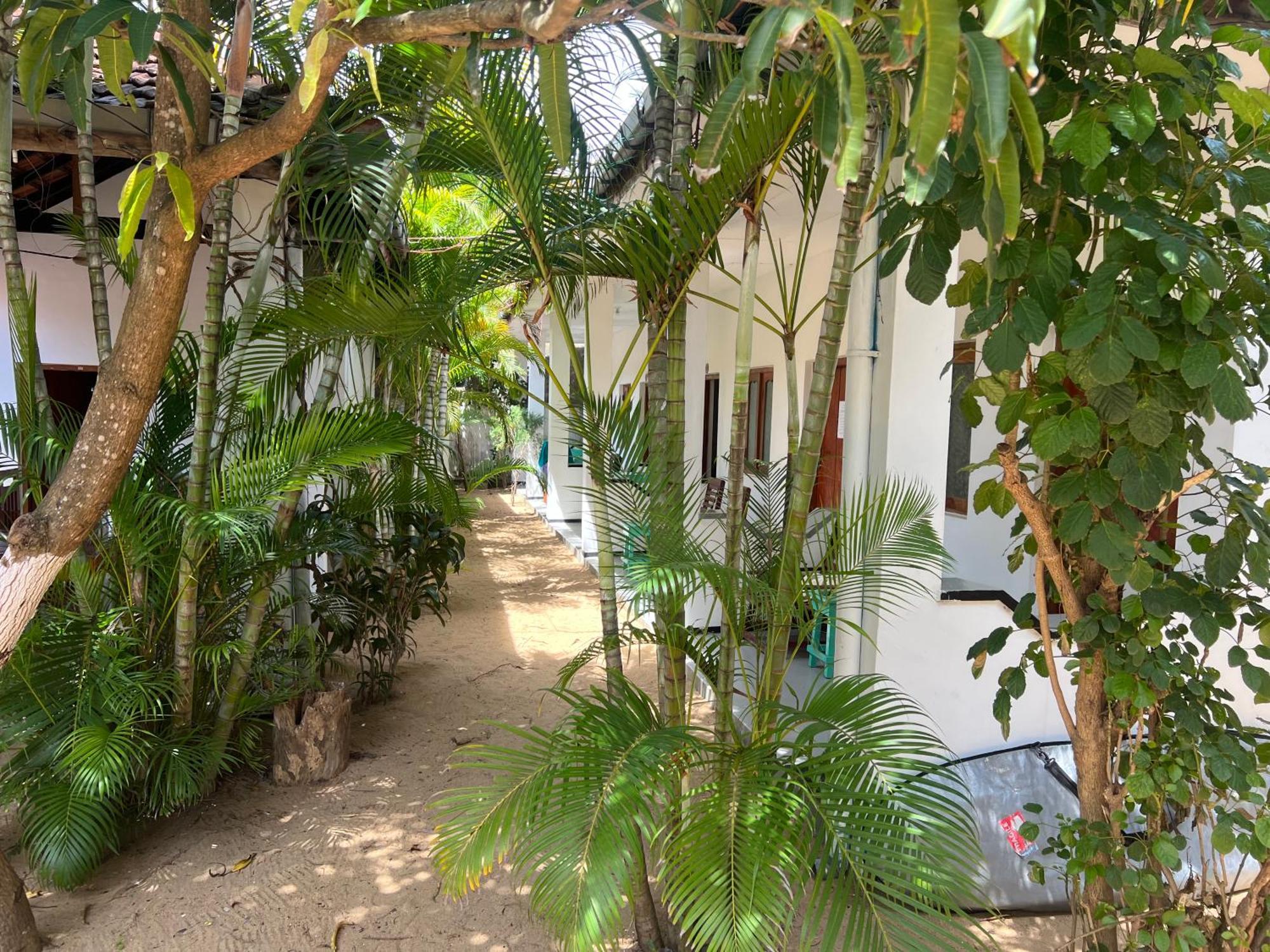 Moxy Bay Arugambay Hotel Arugam Bay Exterior photo